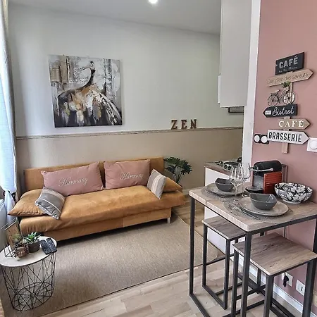 2 Pieces Cozy Avec Balcon Strasbourg